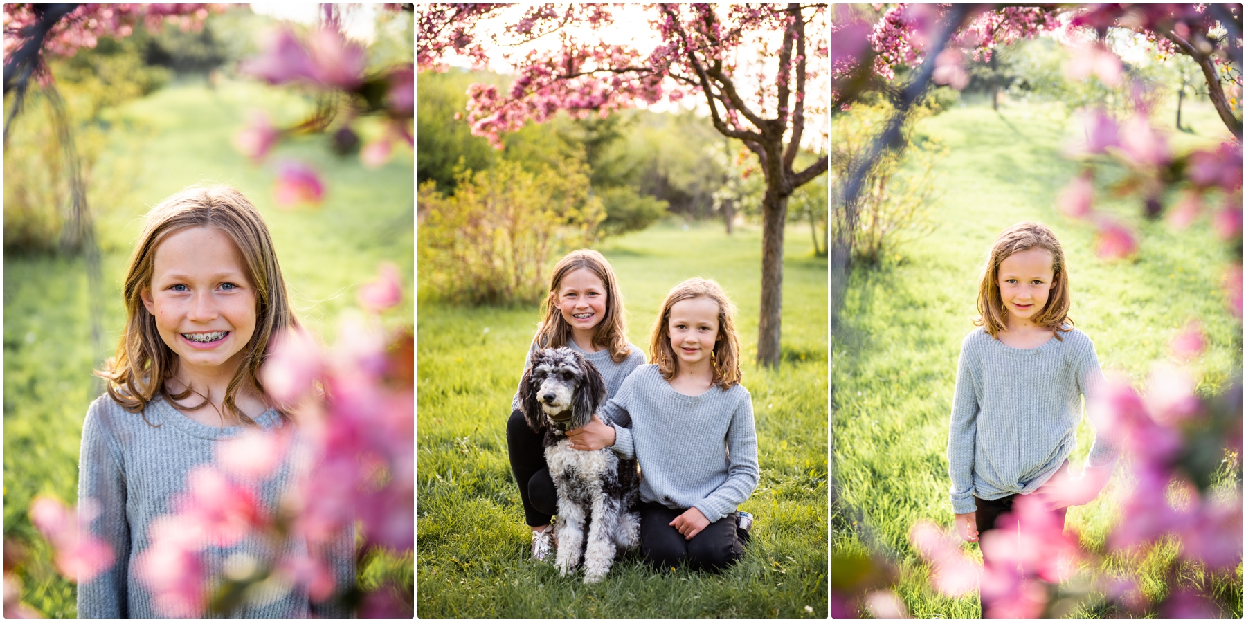 Calgary Cherry Blossom Family Photos