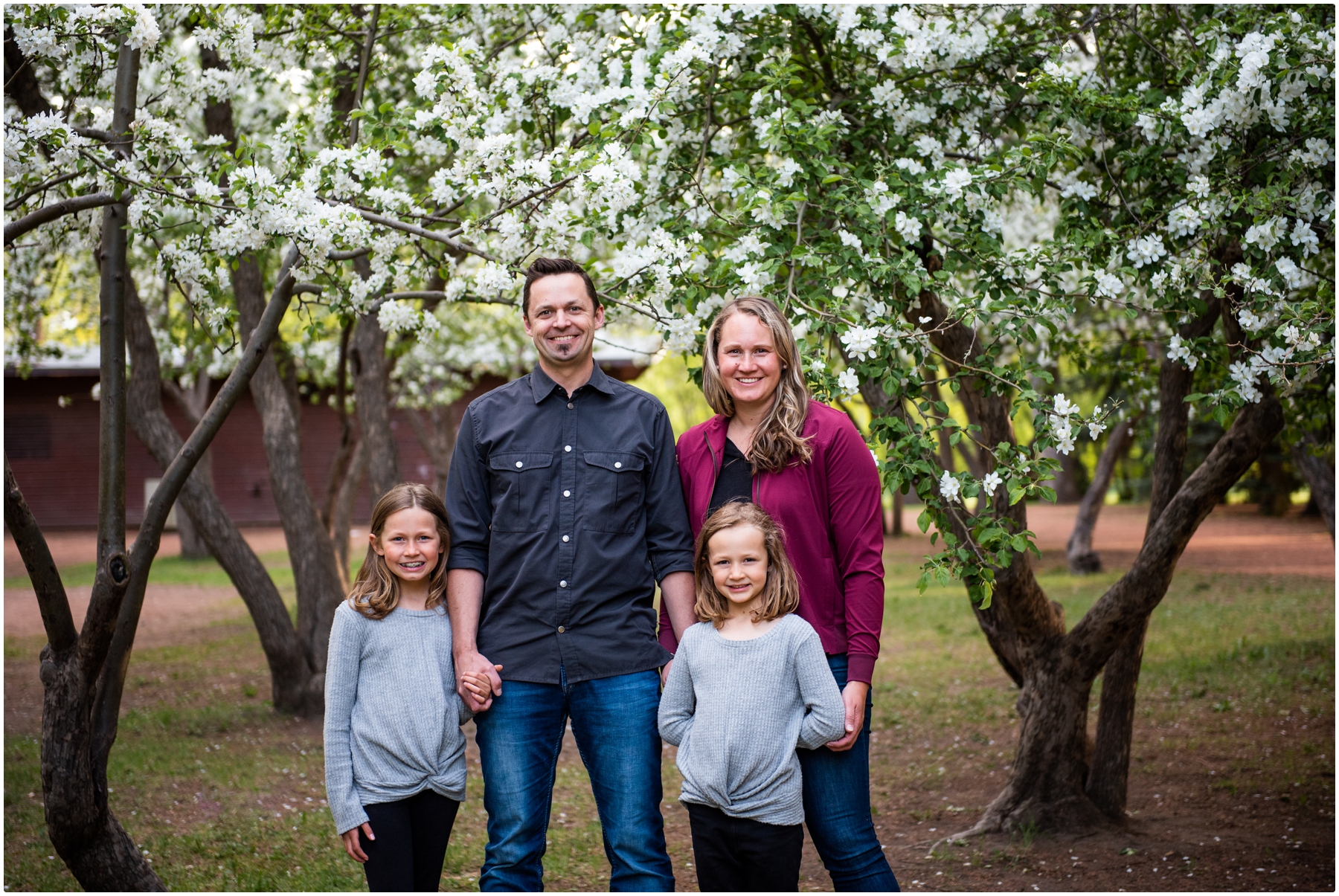 Cherry Blossom Family Photography Calgary