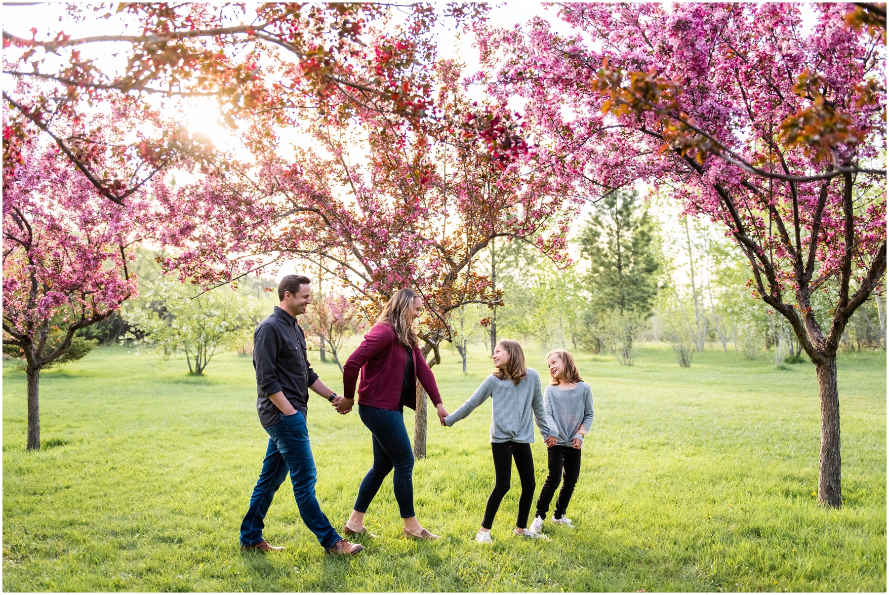 Cherry Blossom Family Photos Calgary