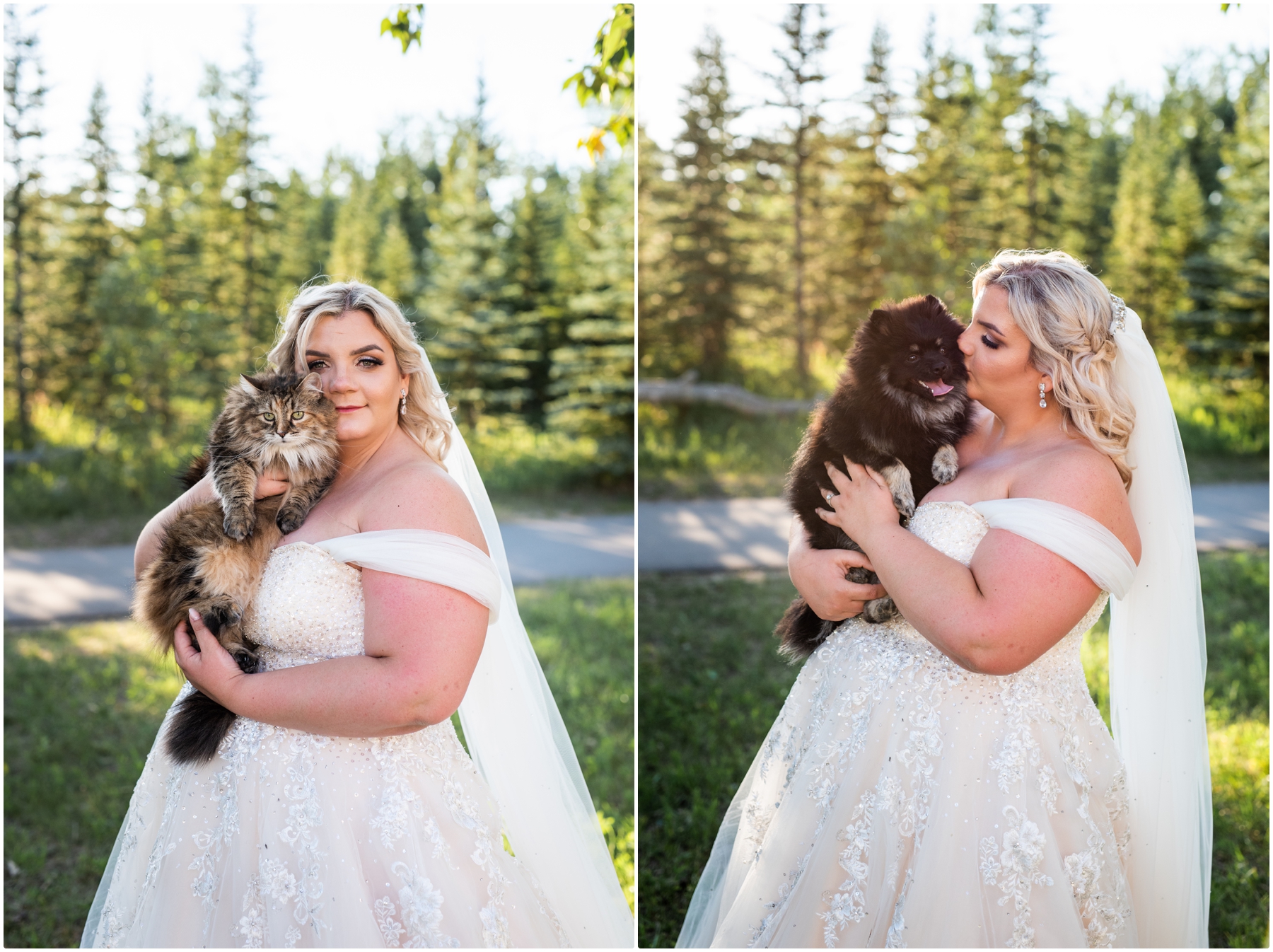 Calgary Sunset Wedding Photographers - Blue Devil Golf Course Wedding Photos