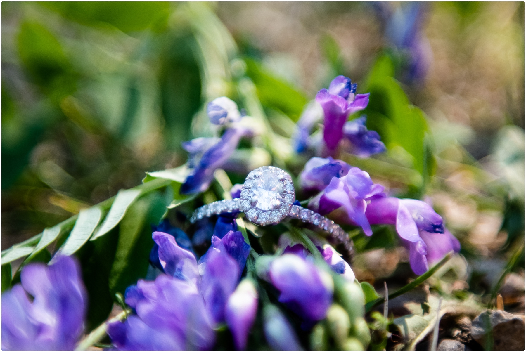 Summer Engagement Photographer Calgary