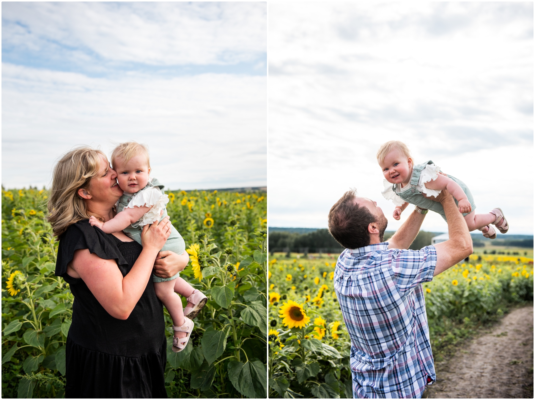 Calgary Sunflower Family Photography