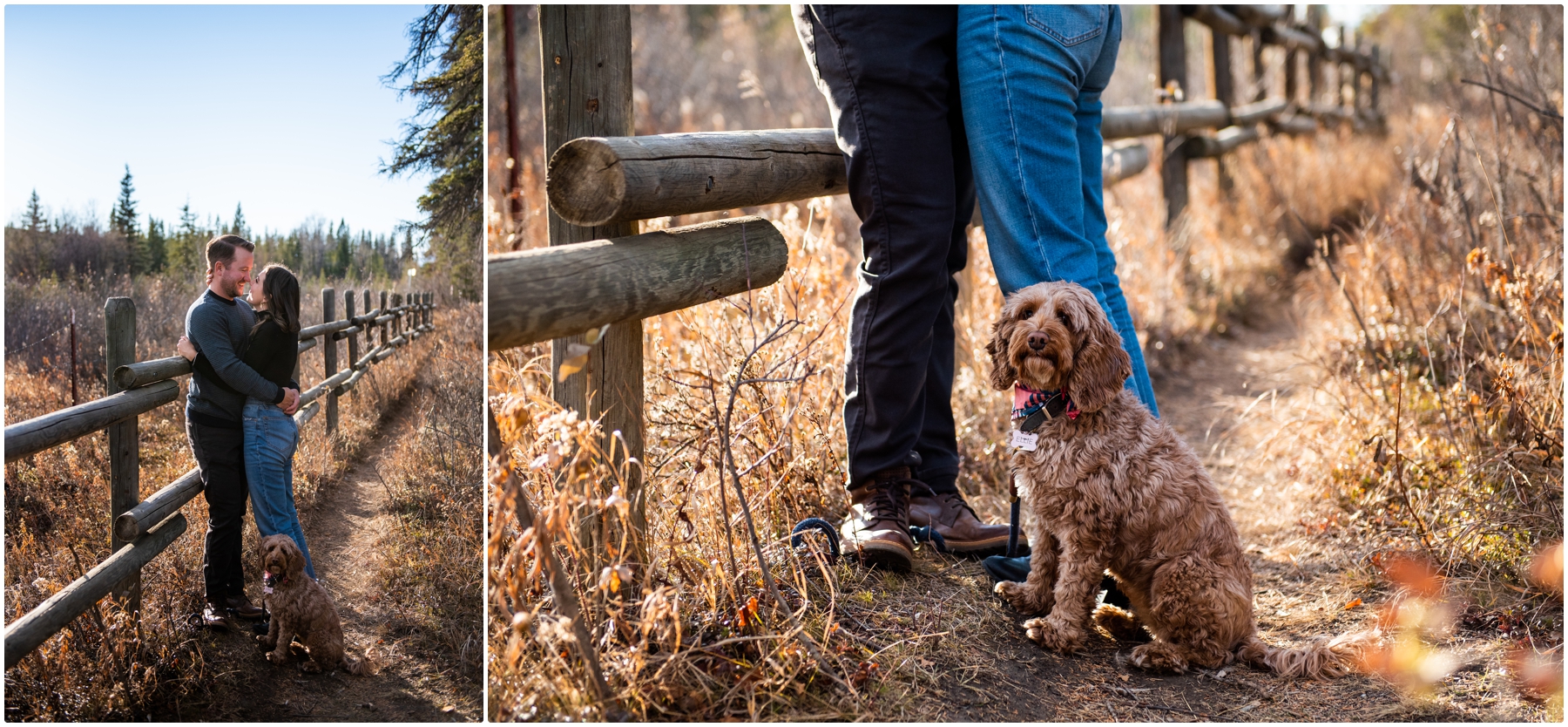 Calgary Fall Griffith Woods Engagement Photographer