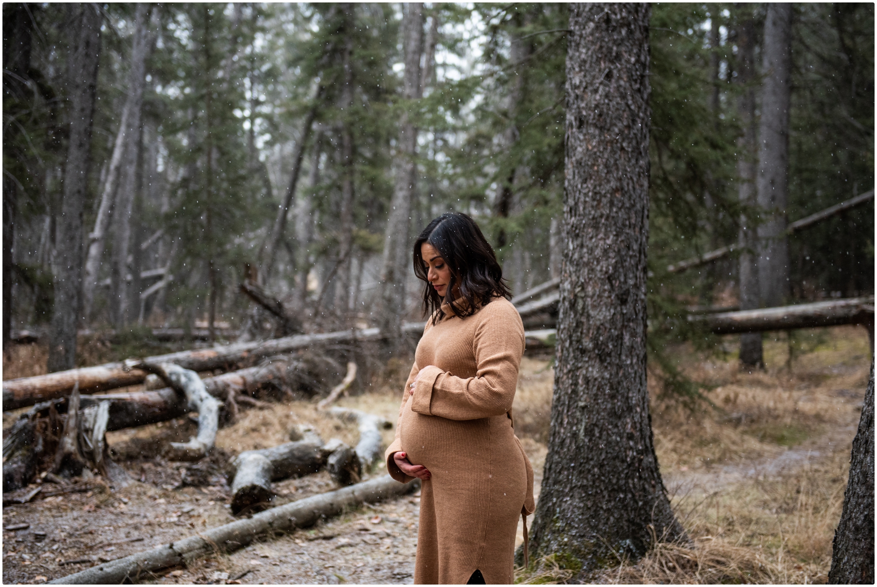 Calgary Family Maternity Photographers