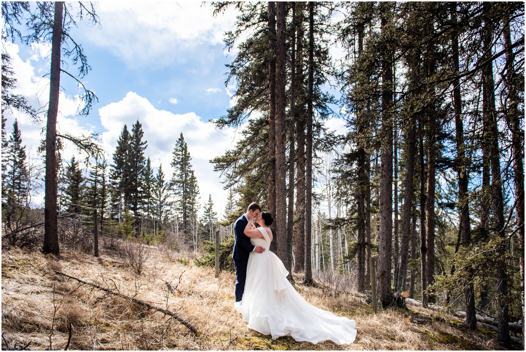 Bride & Groom Formal Photography - Calgary Azuridge Estate Hotel Wedding