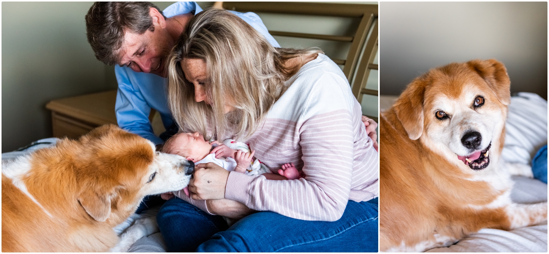 Calgary Newborn & Dog Photo Session