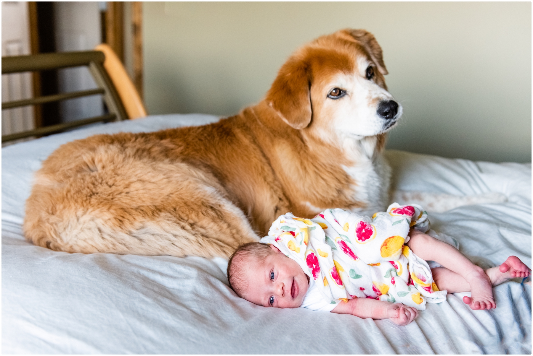 Calgary Newborn & Dog Photography