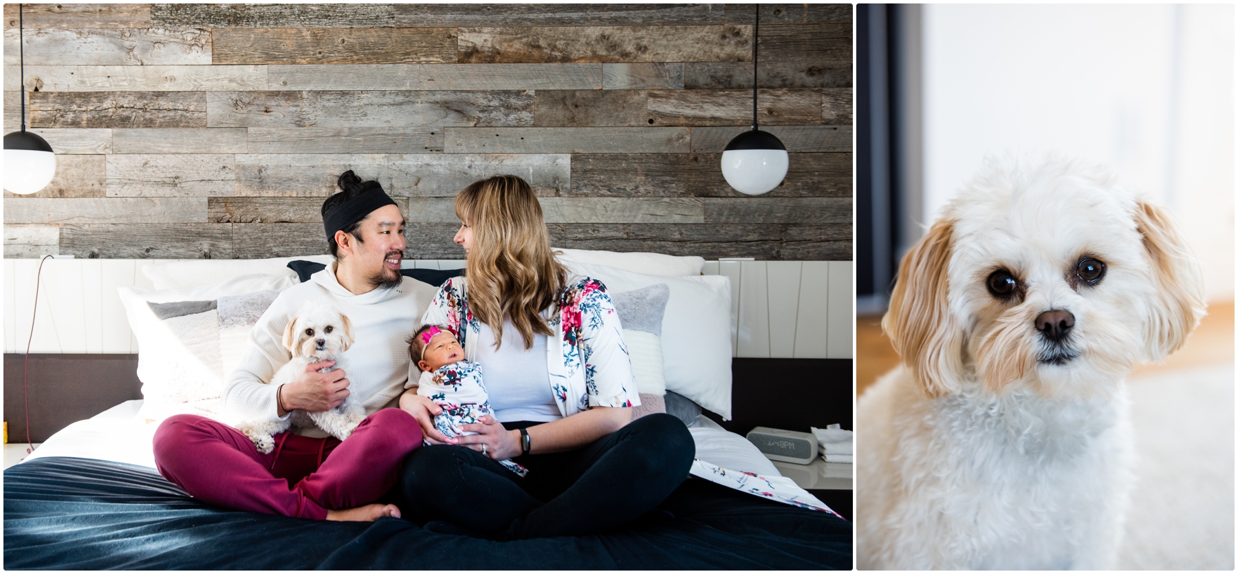 Calgary Newborn Photo Session With Dog