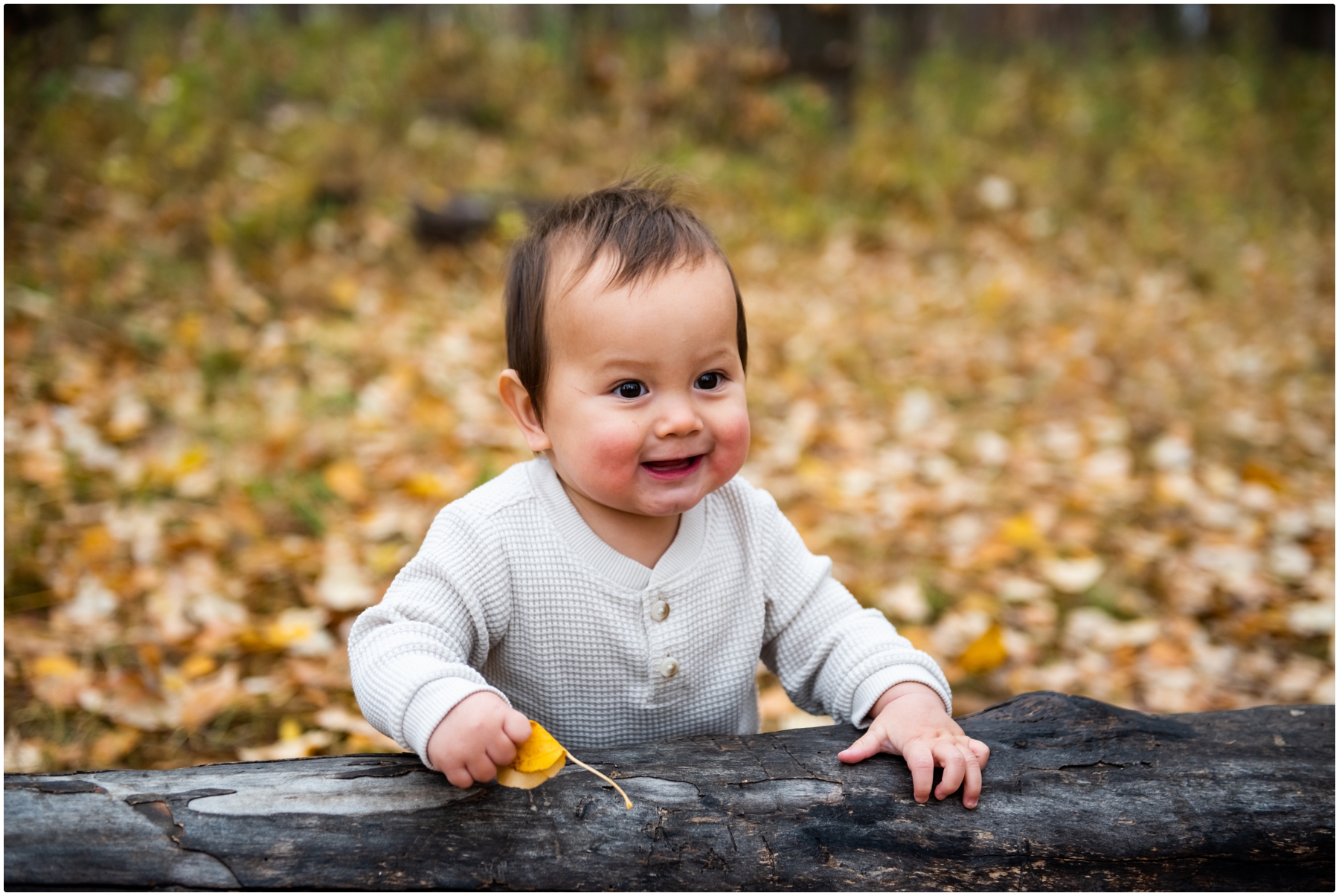 Calgary Fall Family Photographer