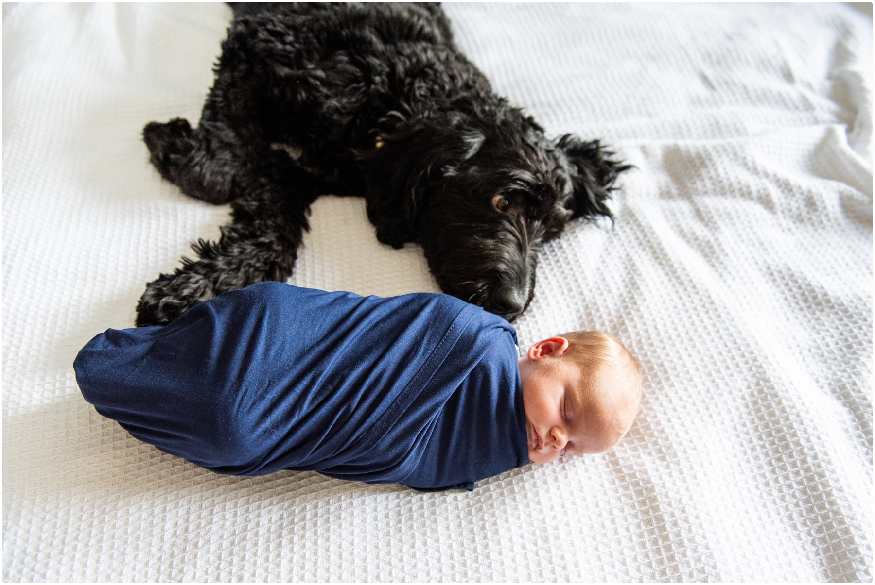 Calgary Family & Dog Newborn Session