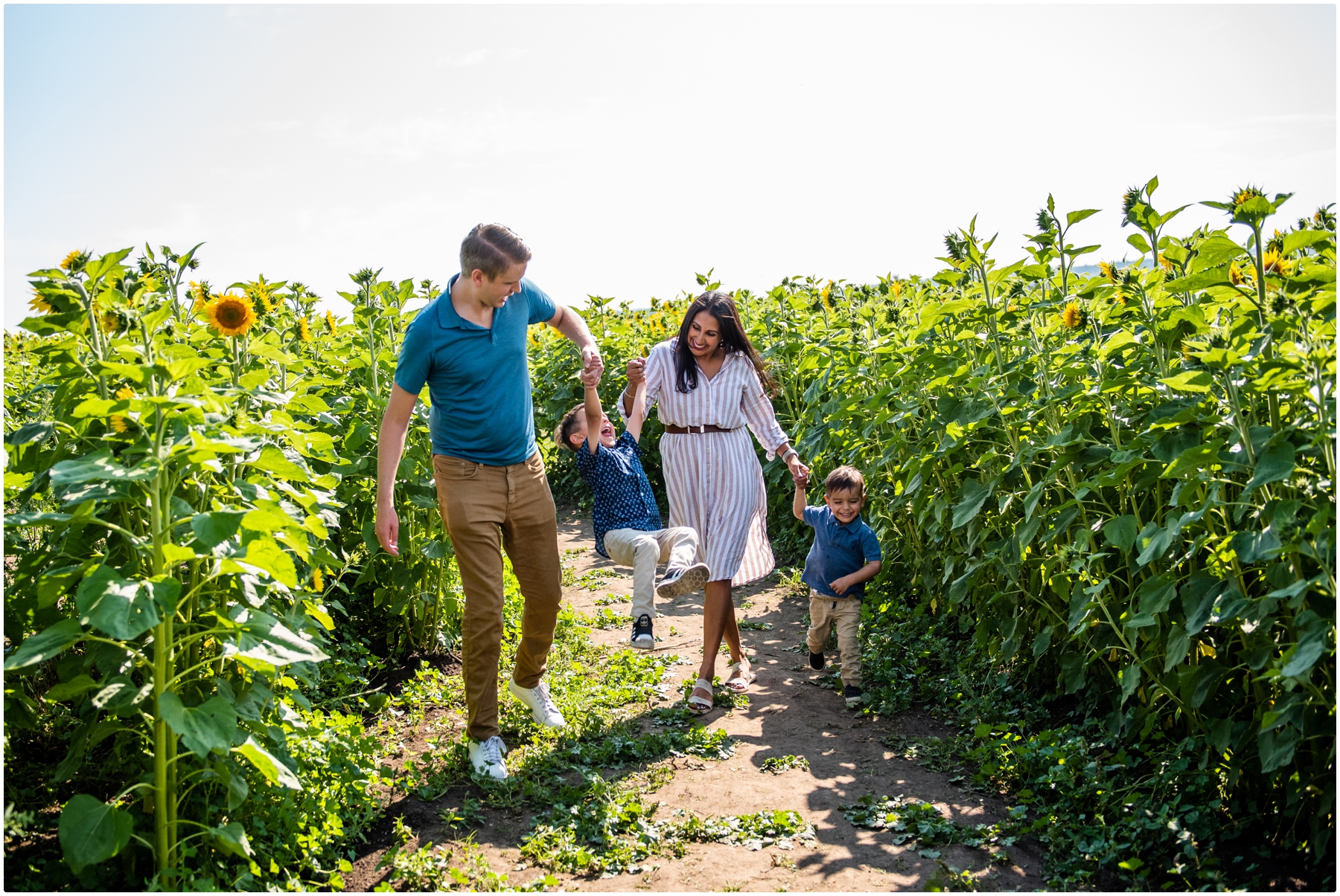 Calgary Sunflower Family Photography