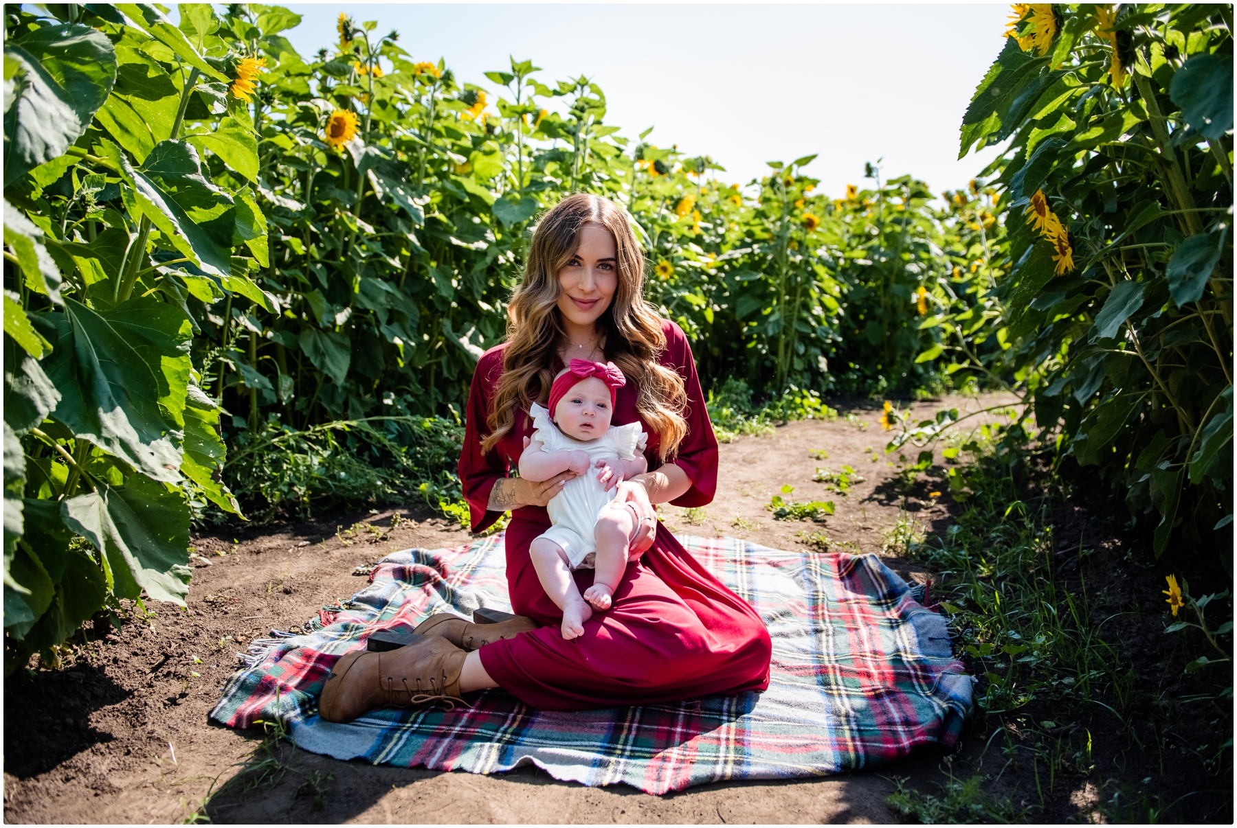 Calgary Sunflower Family Photos