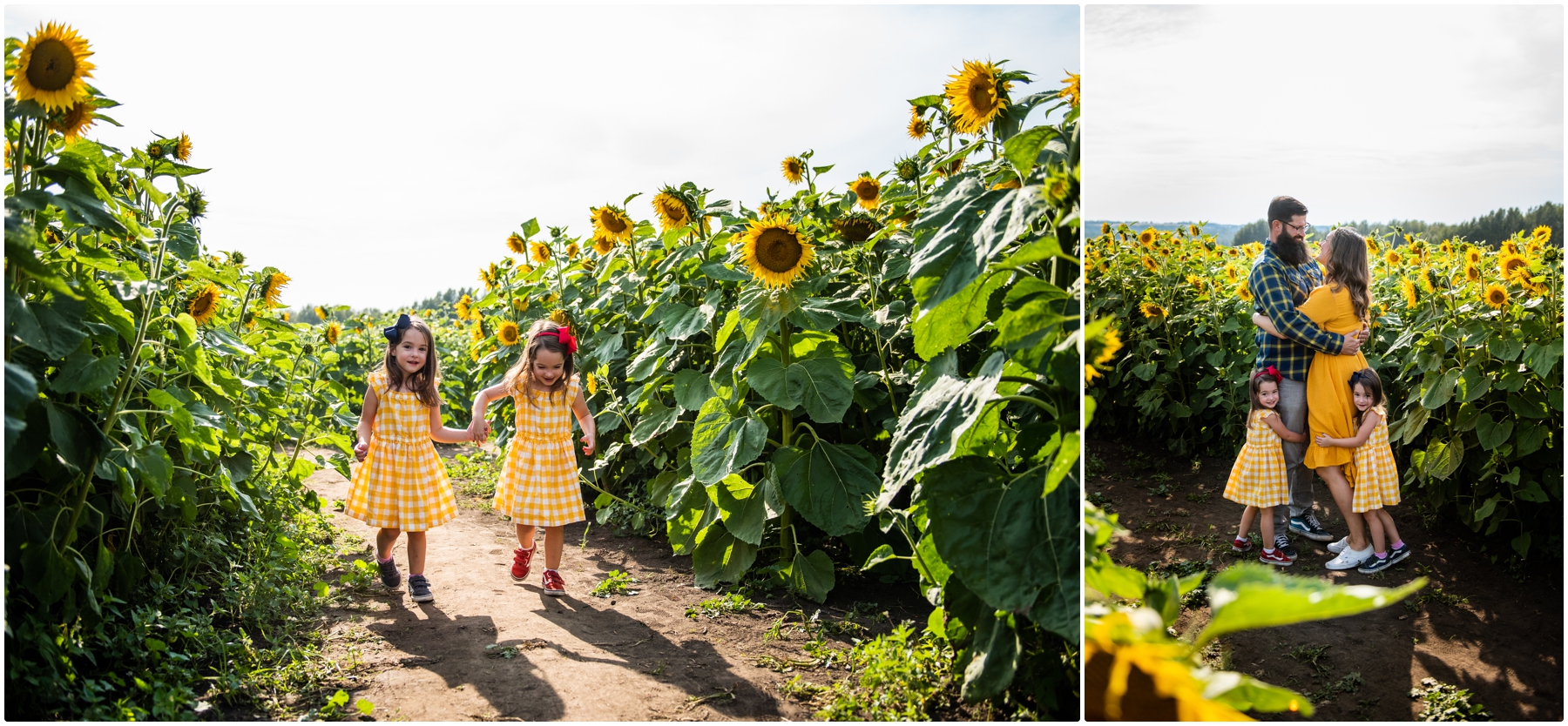 Calgary Sunflower Family Session