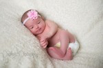 Calgary Newborn Photographer