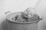 Okotoks Newborn Photography