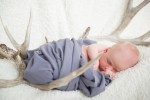 Calgary Newborn Photography