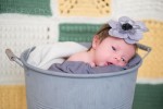 Calgary Newborn Photographer