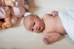 Calgary Newborn Photographer