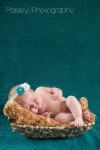 AIrdrie Newborn Photos