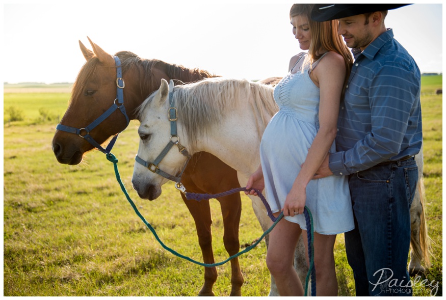 Horses in Maternity Photography