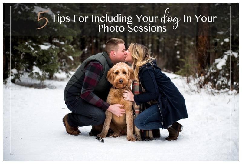 5 Tips For Including Your Dog In Your Photography Sessions