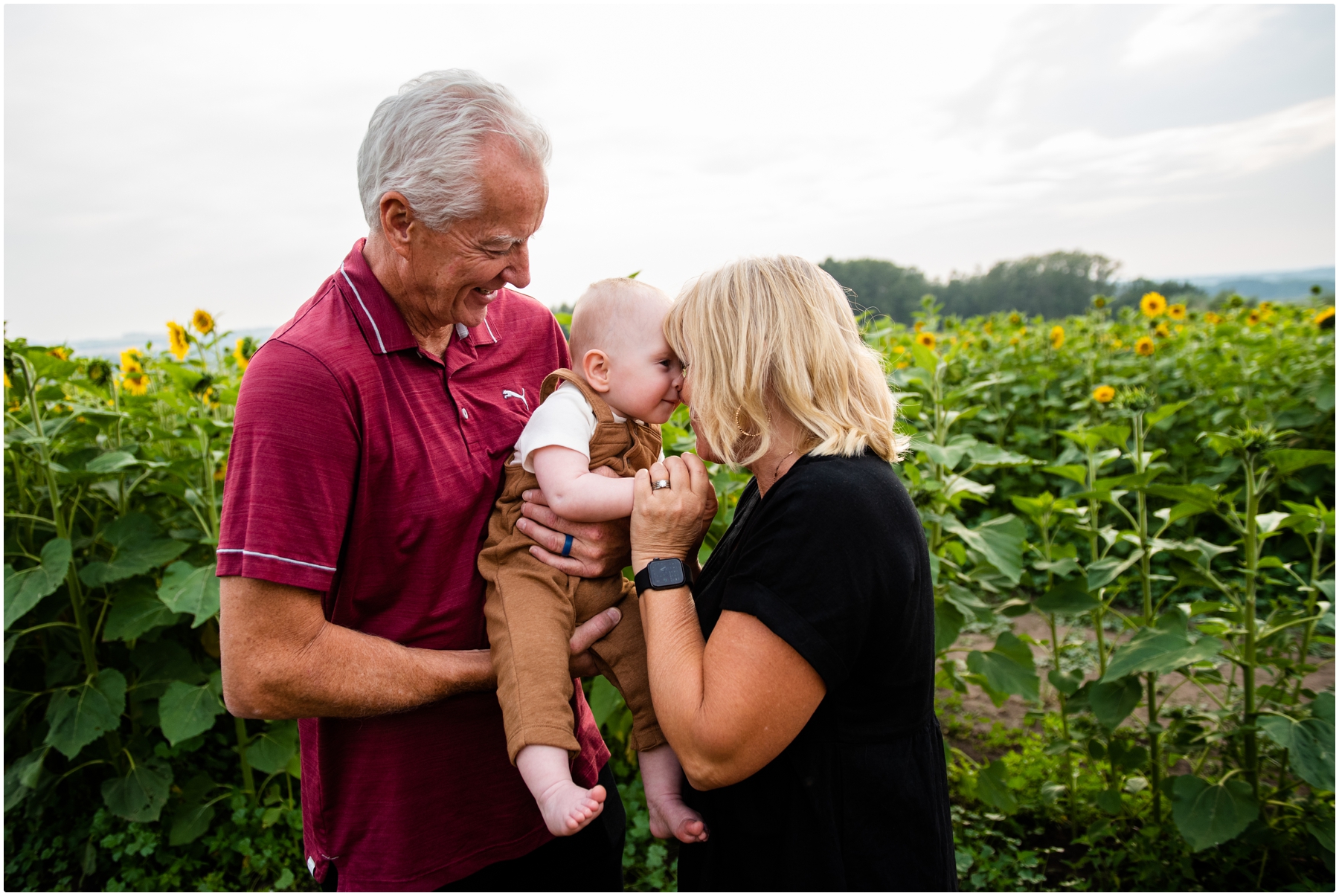 Sunflower Extended Family Session Bowden