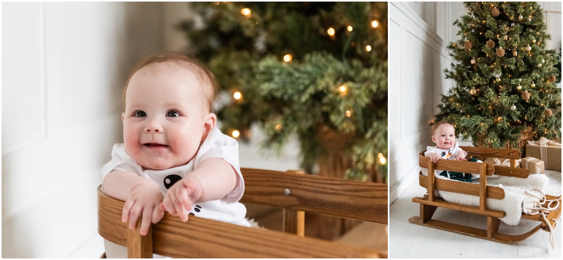 Calgary Christmas Family Session