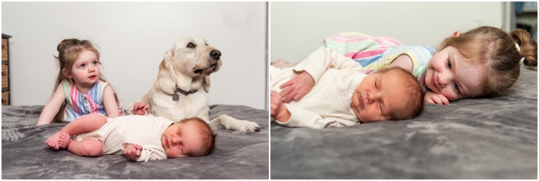 Calgary At Home Newborn Session