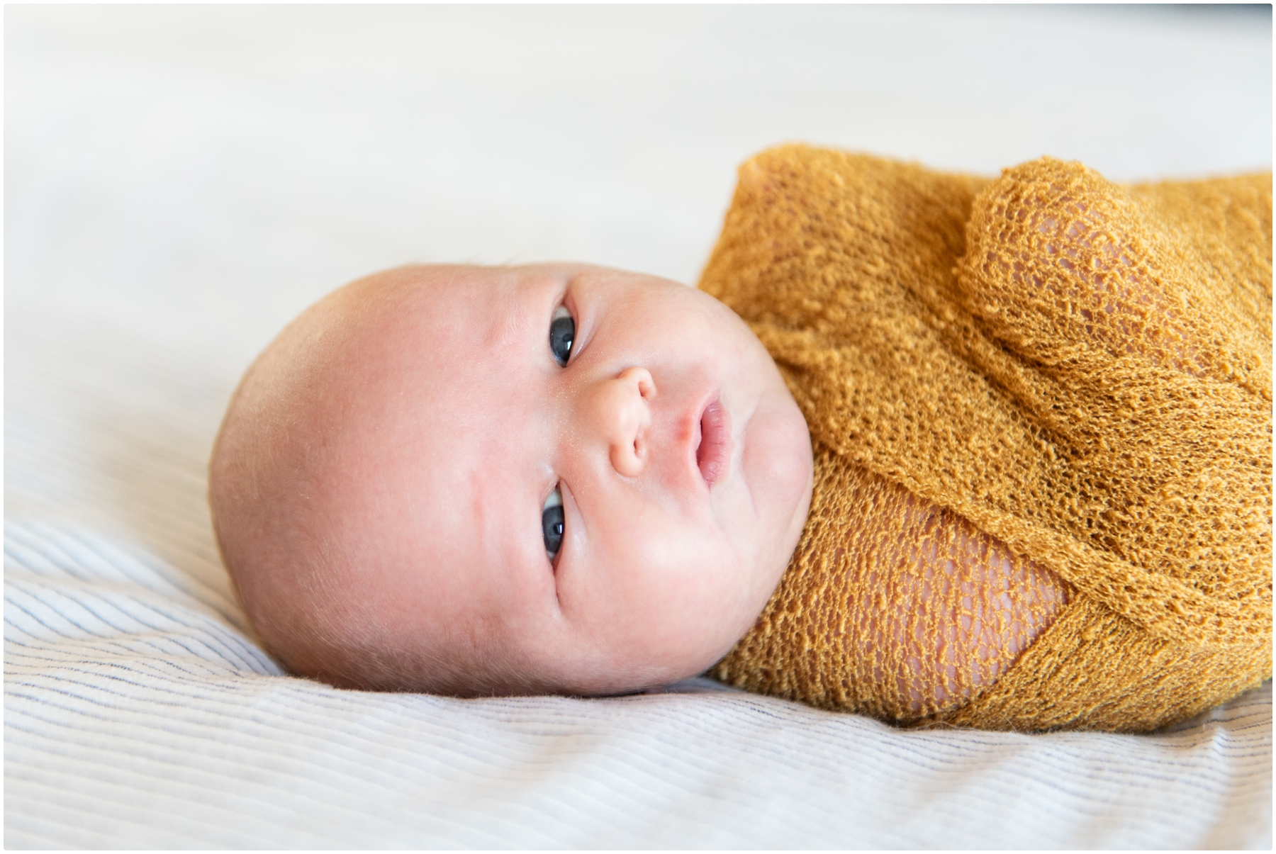 Calgary Baby Photography Session