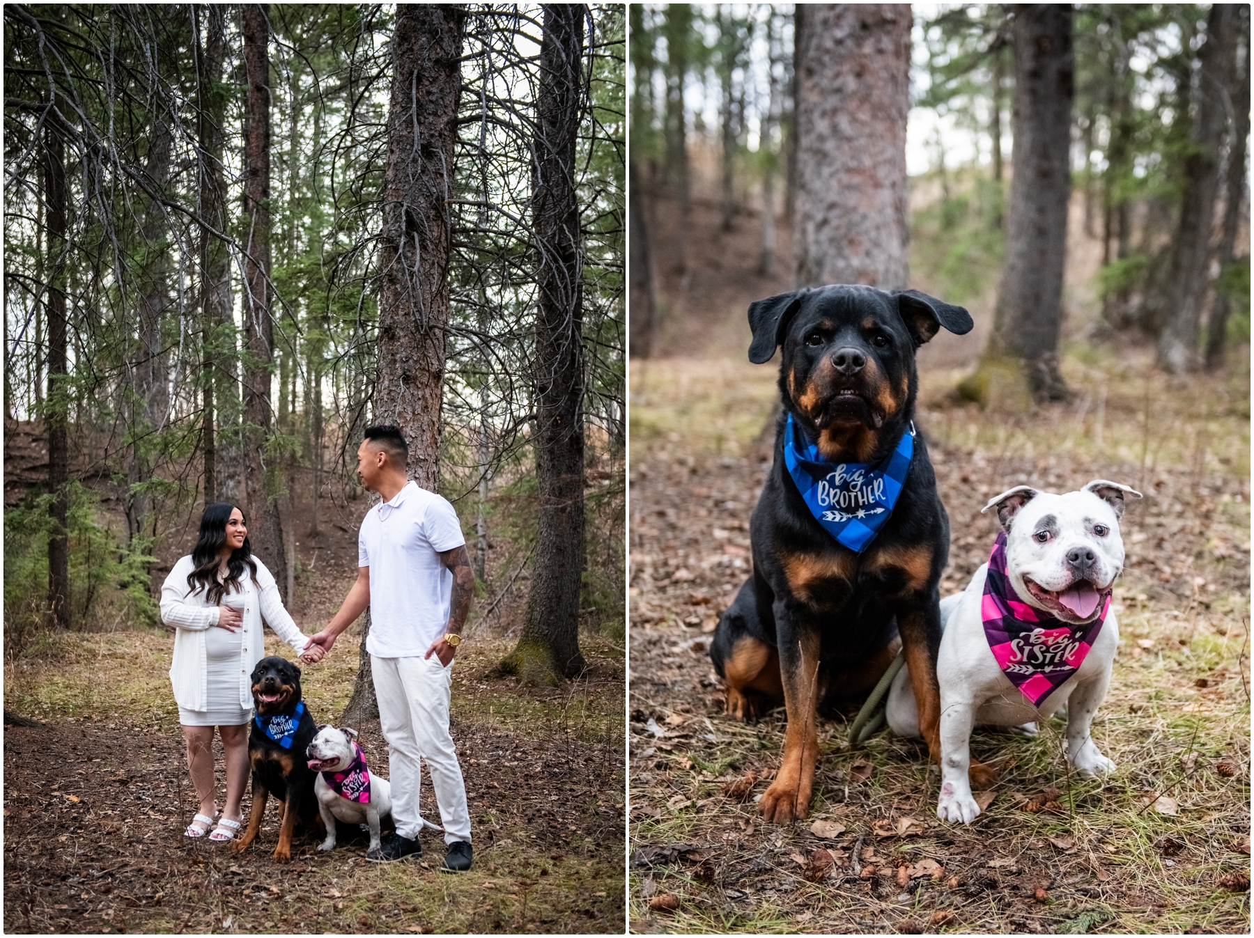 Calgary Maternity & Newborn Photographer