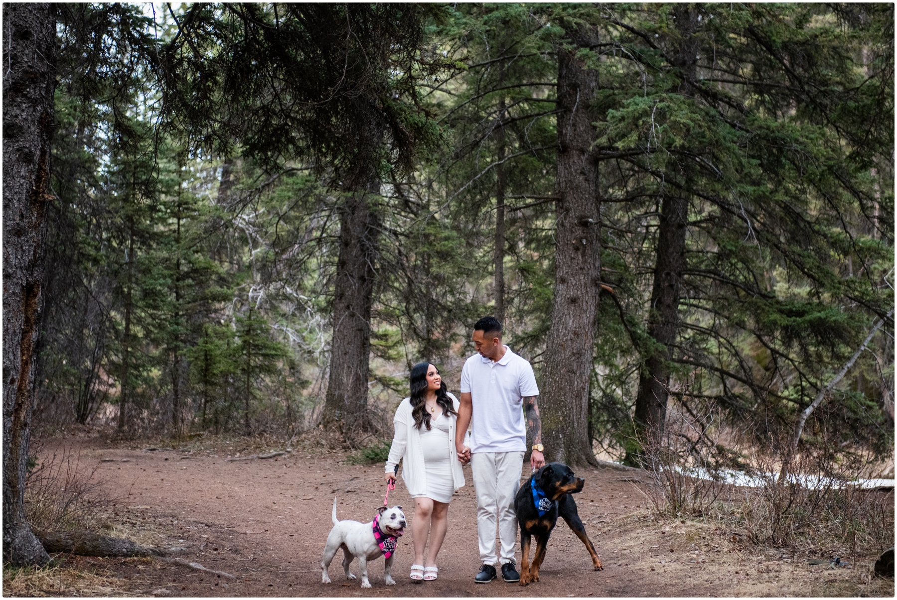 Calgary Maternity Session With Dogs