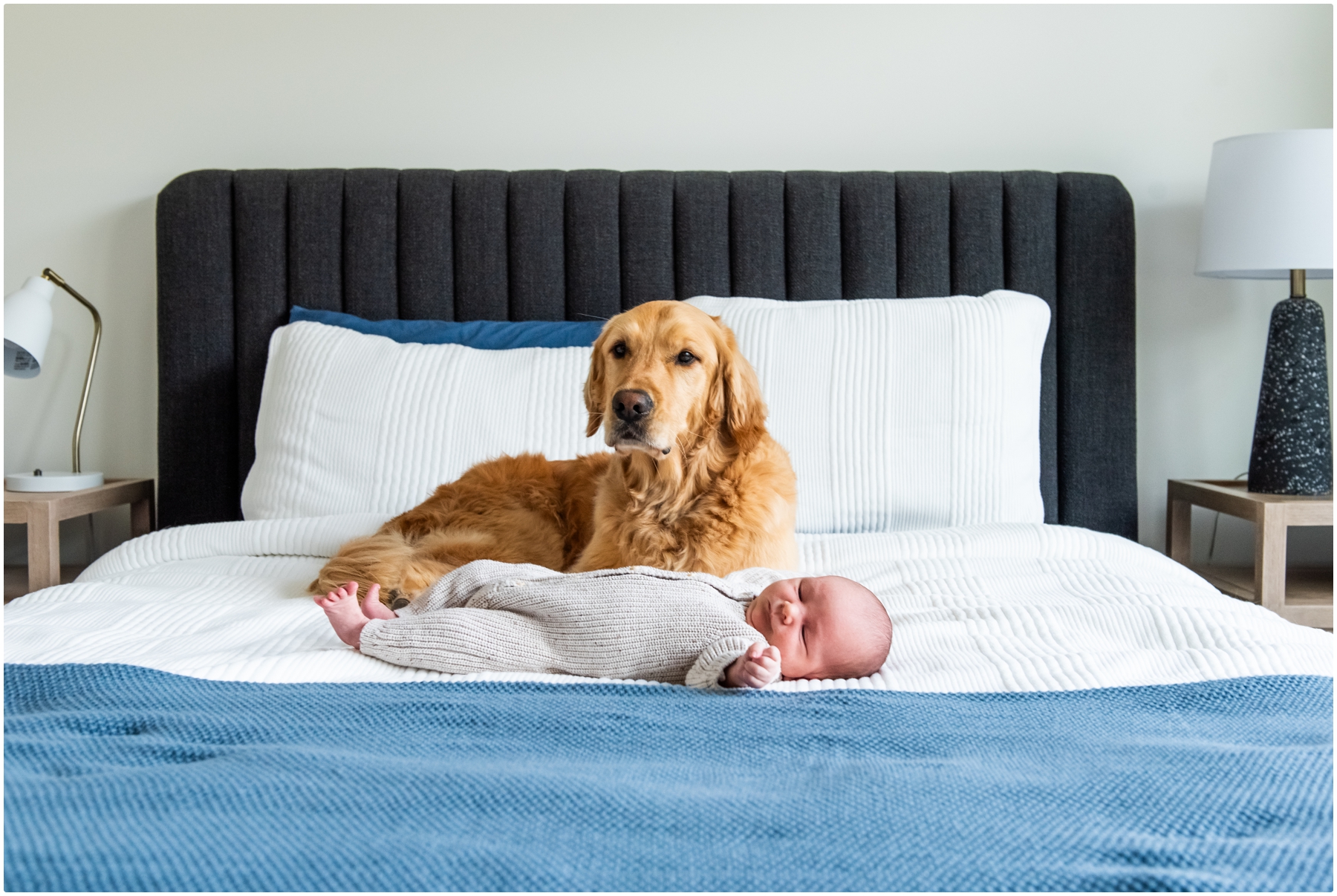 Canmore Lifestyle Newborn Session With Dog