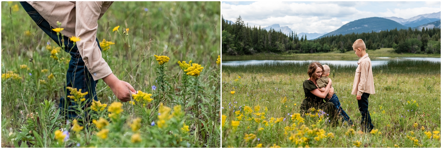 Kananaskis Wild Flower Family Photography Session