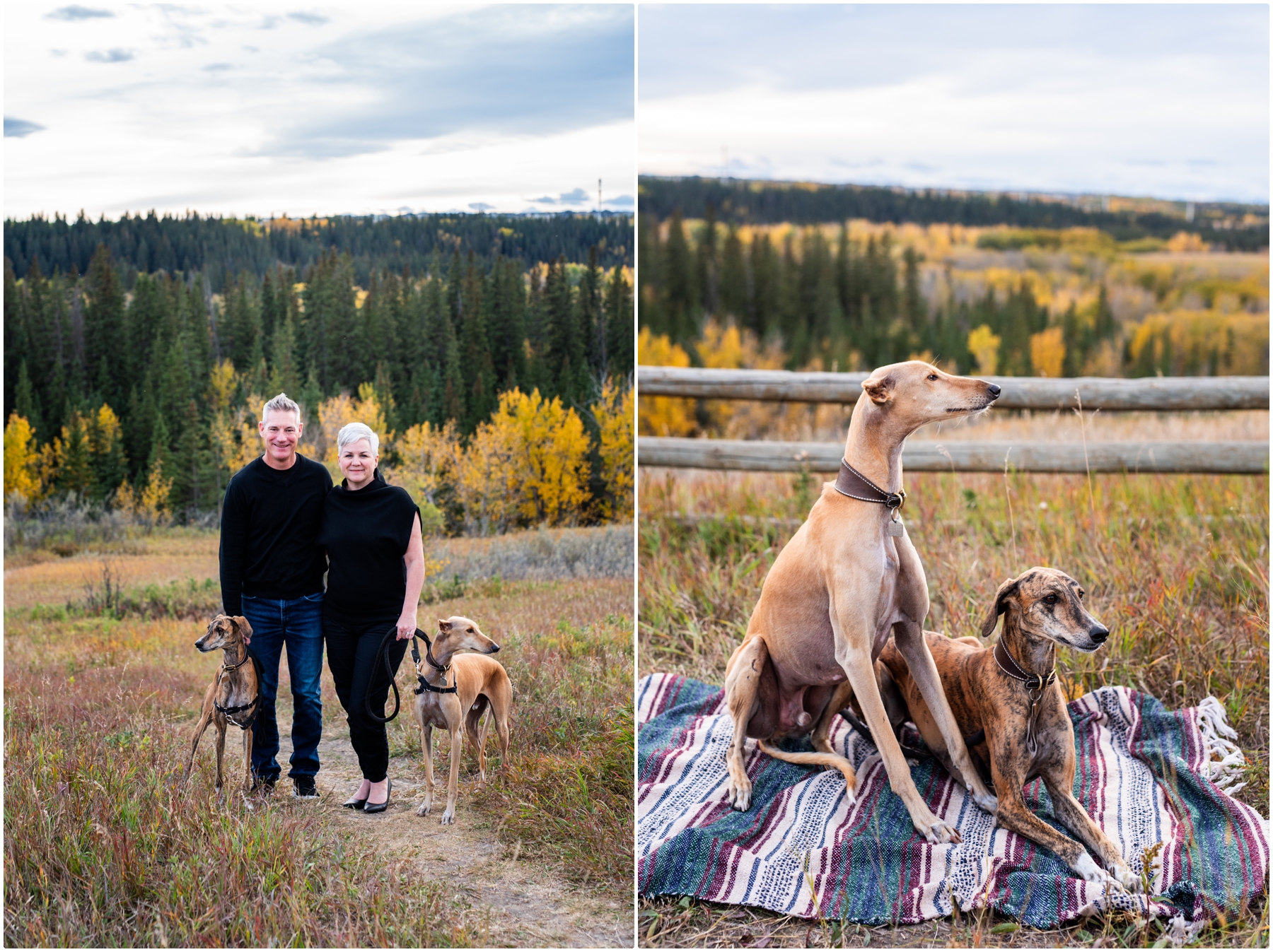 Calgary Park Family Photos Session