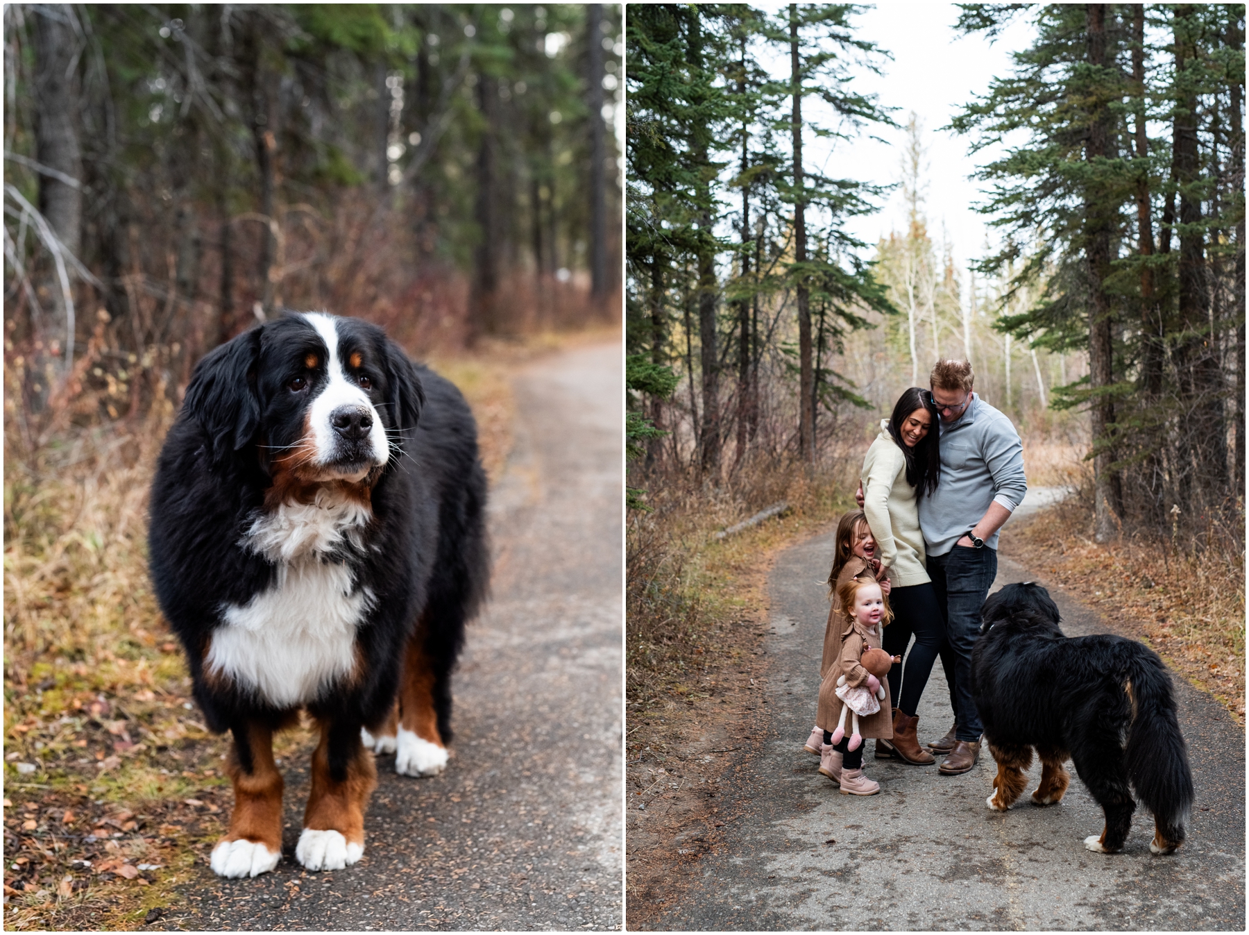 Family Photography Session Calagry